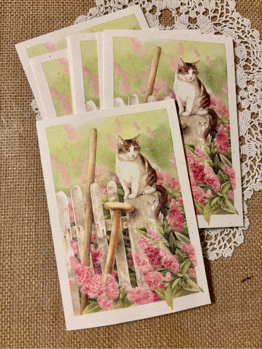 Cat artwork - Marjolein Bastin “A Place to Reflect” Hallmark cards blank (8)